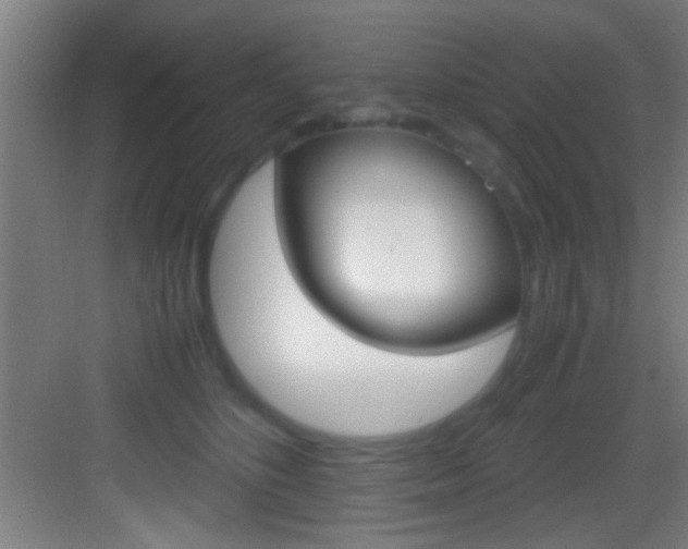 X0000083580516200702090844