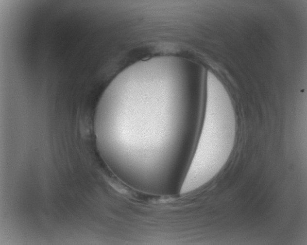 X0000083580517200702090844