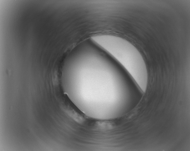 X0000083580520200702090844