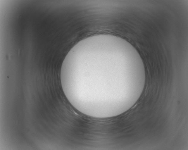 X0000083580528200702090844