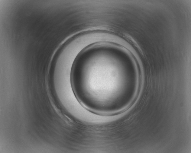 X0000083580532200702090843