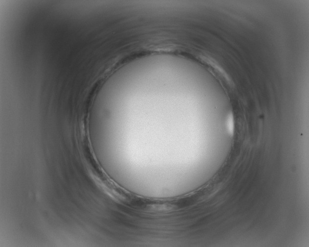 X0000083580541200702090844