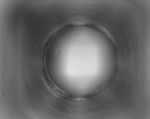X0000083580543200702090844