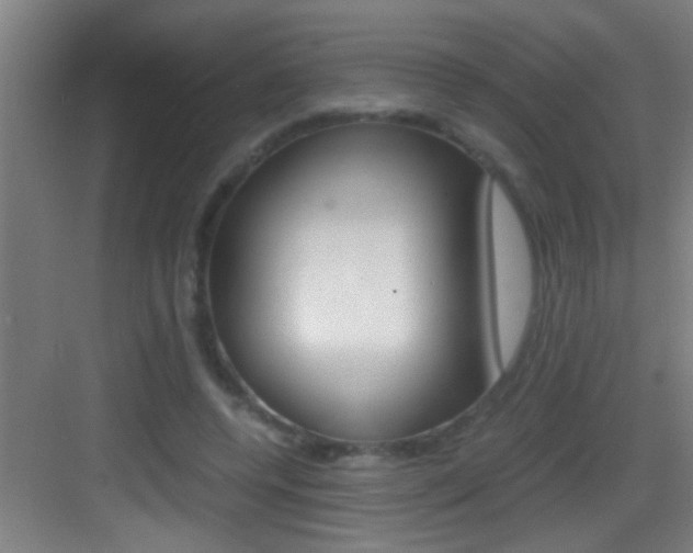 X0000083580544200702090844