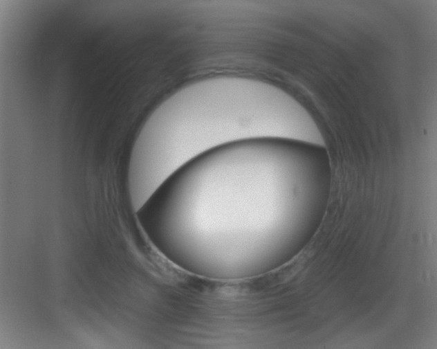 X0000083580546200702090844