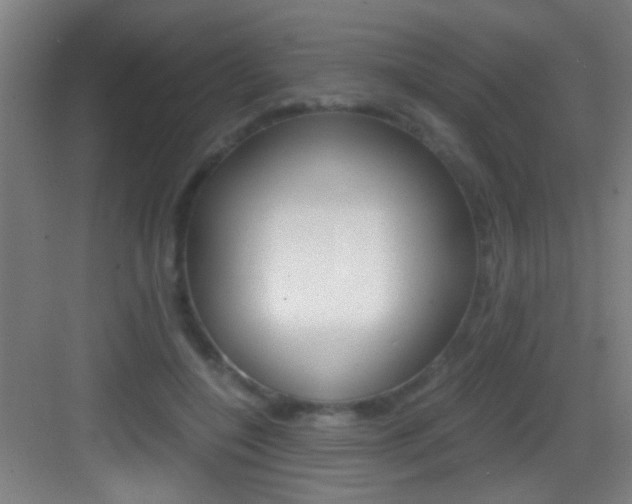 X0000083580548200702090844