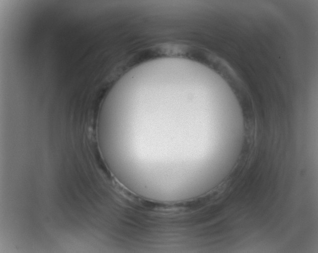 X0000083580553200702090844