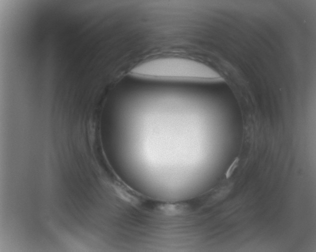 X0000083580558200702090844