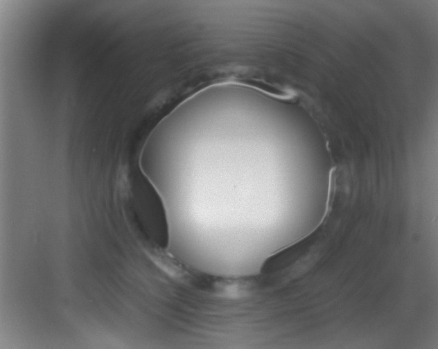 X0000083580564200702090844