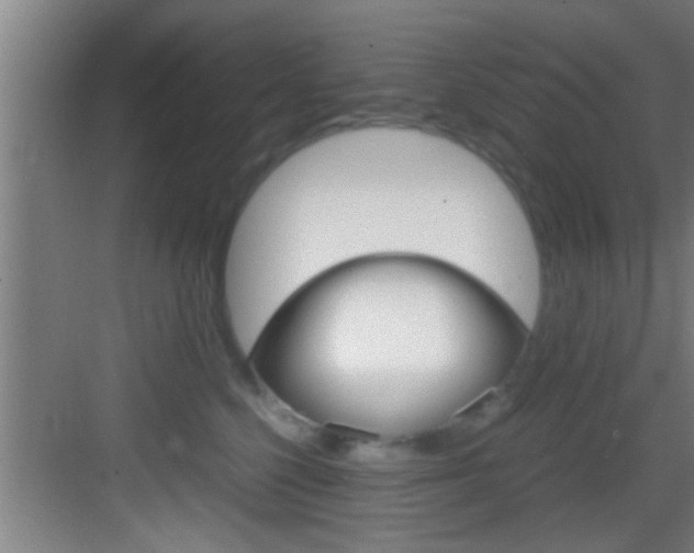 X0000083580568200702090844