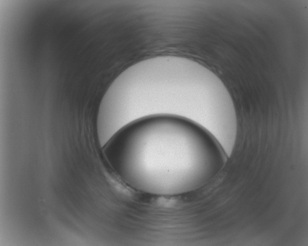 X0000083580570200702090844