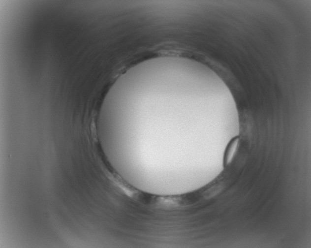 X0000083580573200702090844
