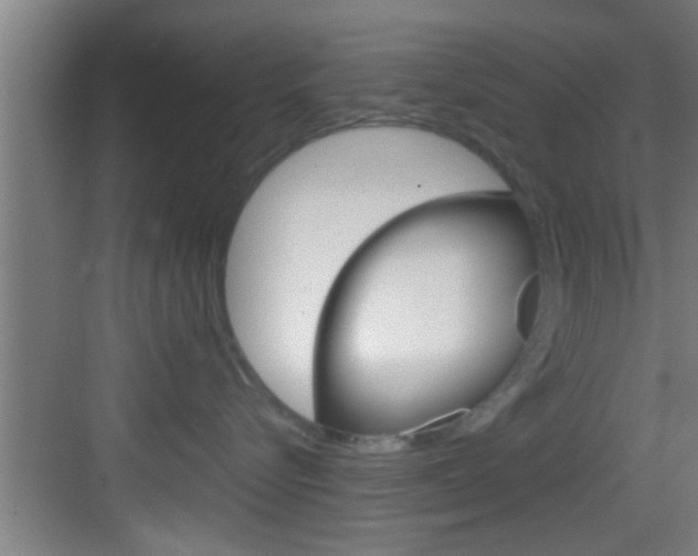 X0000083580576200702090844