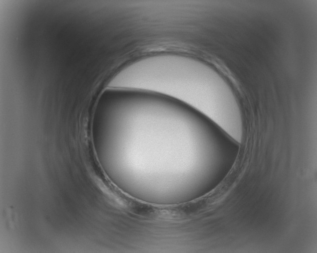 X0000083580585200702090843