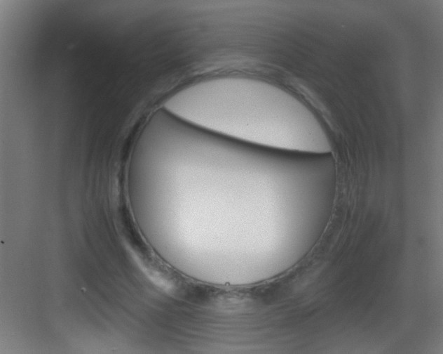 X0000083580586200702090843