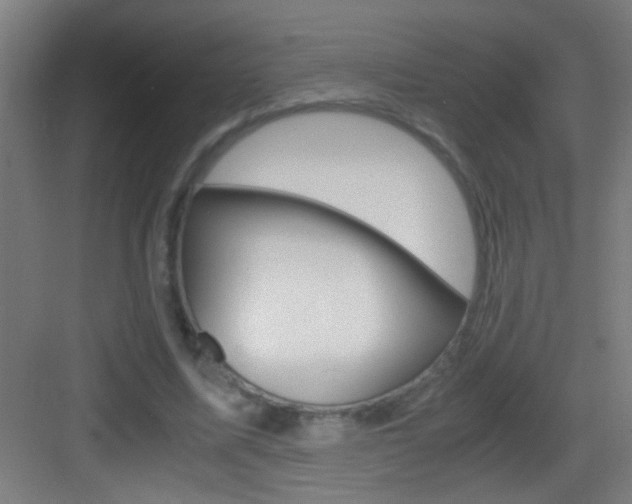 X0000083580587200702090843