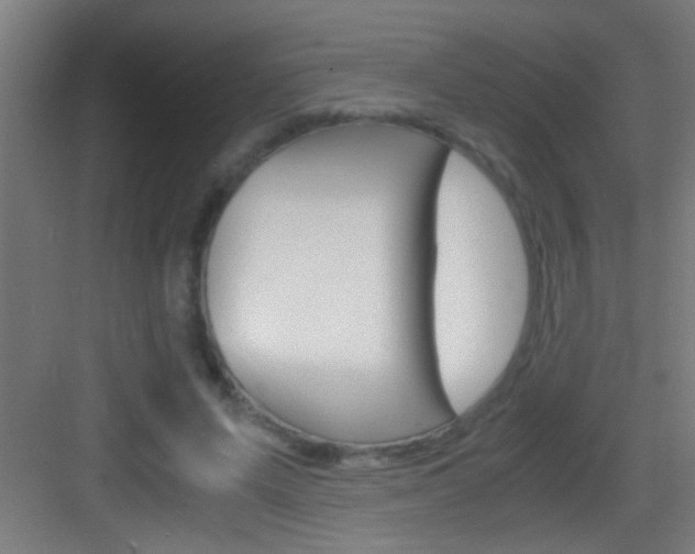X0000083580591200702090843