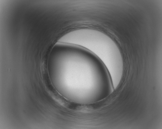 X0000083580597200702090843