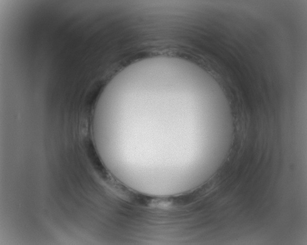 X0000083580602200702090843