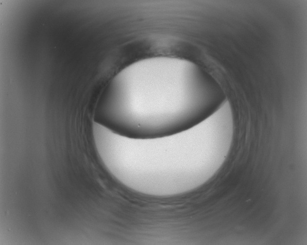 X0000083580603200702090843
