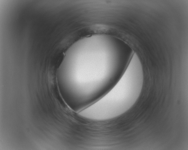 X0000083580604200702090843