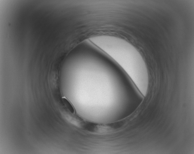 X0000083580605200702090843