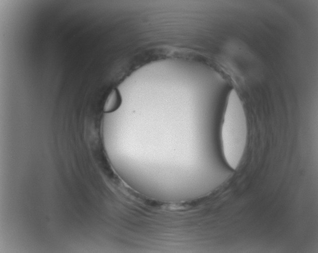 X0000083580607200702090843