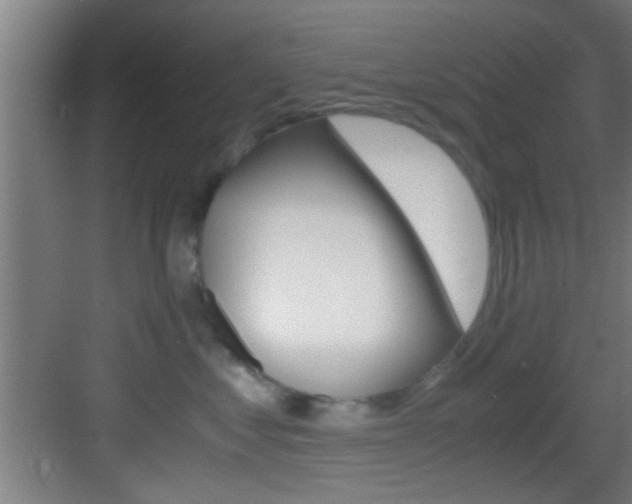 X0000083580621200702090843
