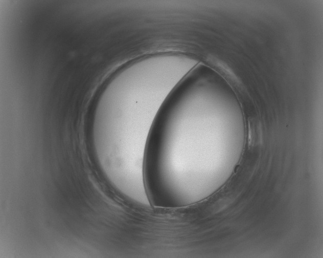 X0000083580627200702090842
