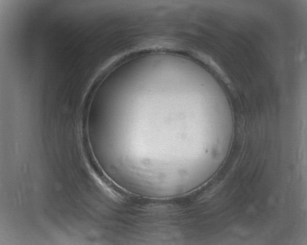 X0000083580629200702090842