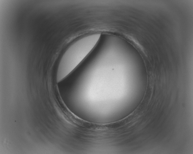 X0000083580631200702090842