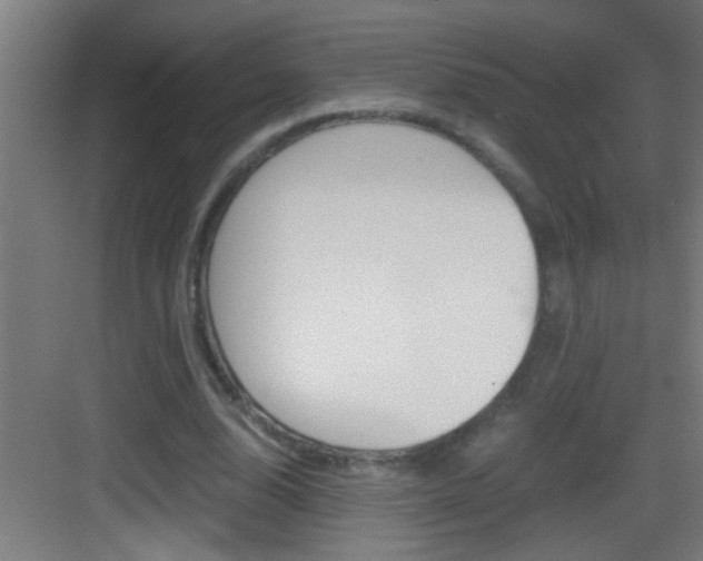 X0000083580632200702090842
