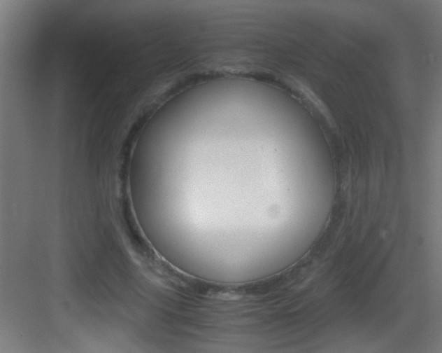 X0000083580635200702090842