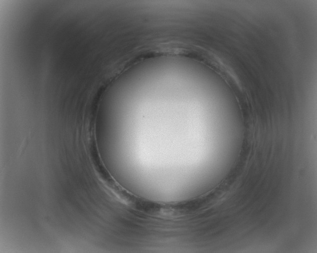 X0000083580641200702090842