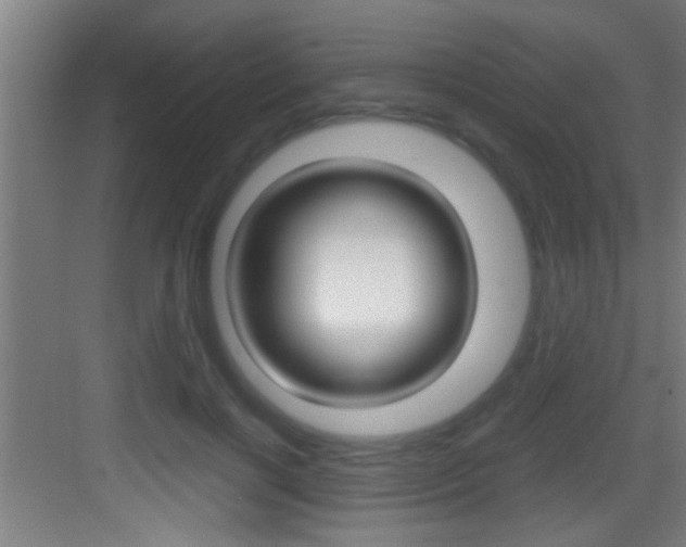 X0000083580646200702090842