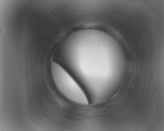 X0000083580648200702090842