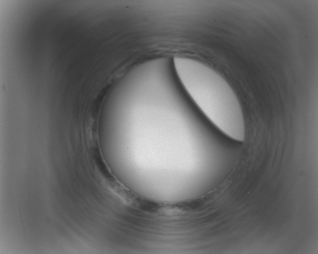 X0000083580650200702090842