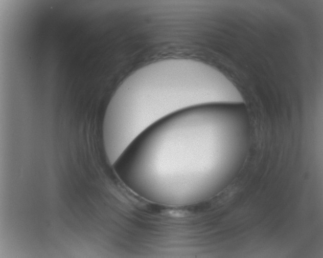 X0000083580654200702090842