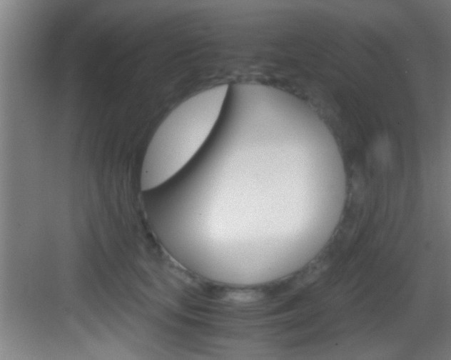 X0000083580659200702090842