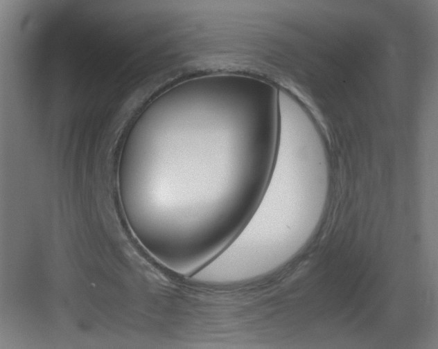 X0000083580673200702090842