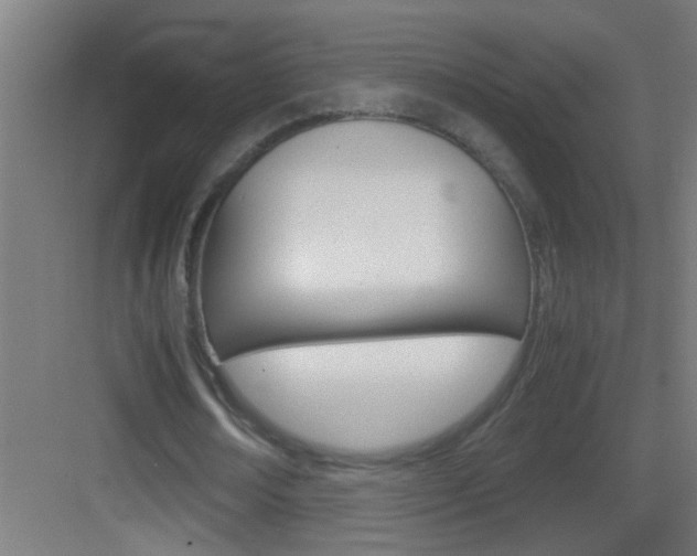 X0000083580674200702090842
