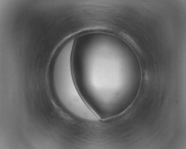X0000083580676200702090842