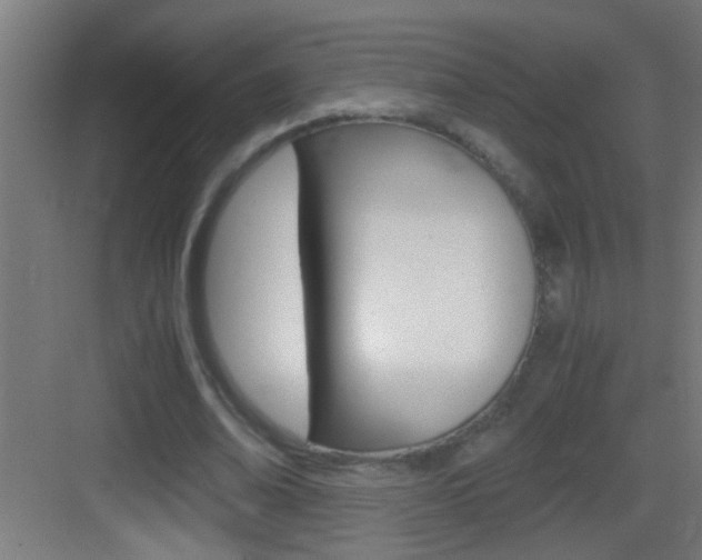X0000083580678200702090842