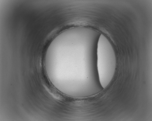 X0000083580686200702090841