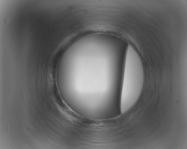 X0000083580688200702090841