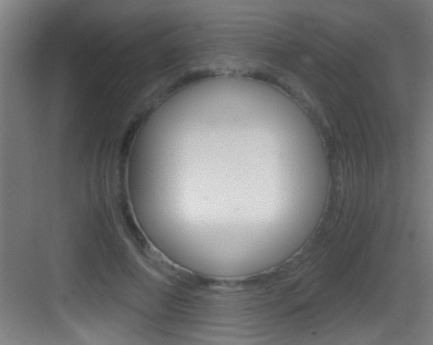X0000083580690200702090841
