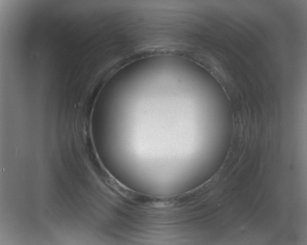 X0000083580692200702090841