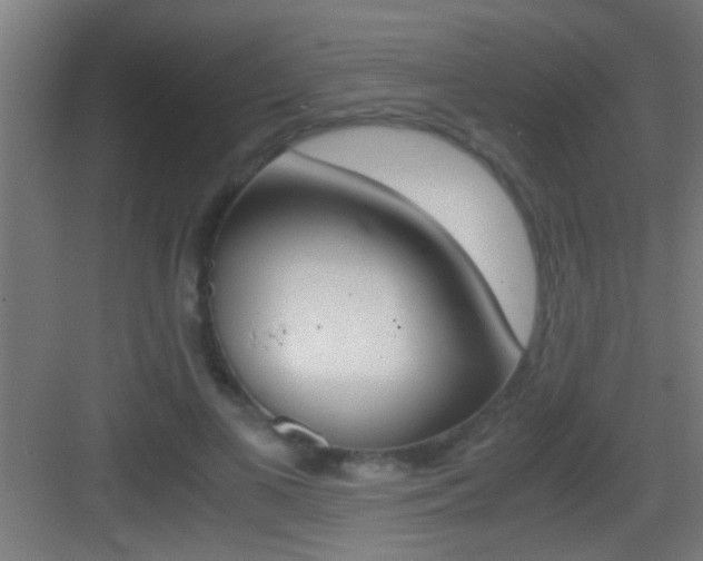 X0000083580693200702090841
