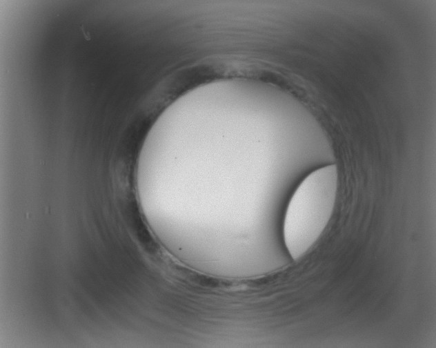 X0000083580695200702090841