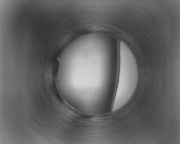 X0000083580700200702090841